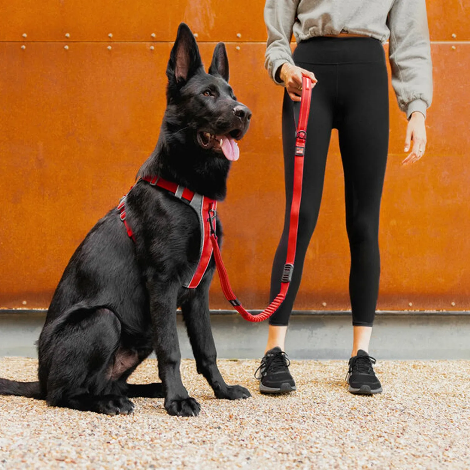 EzyDog X-LINK™ DOG HARNESS