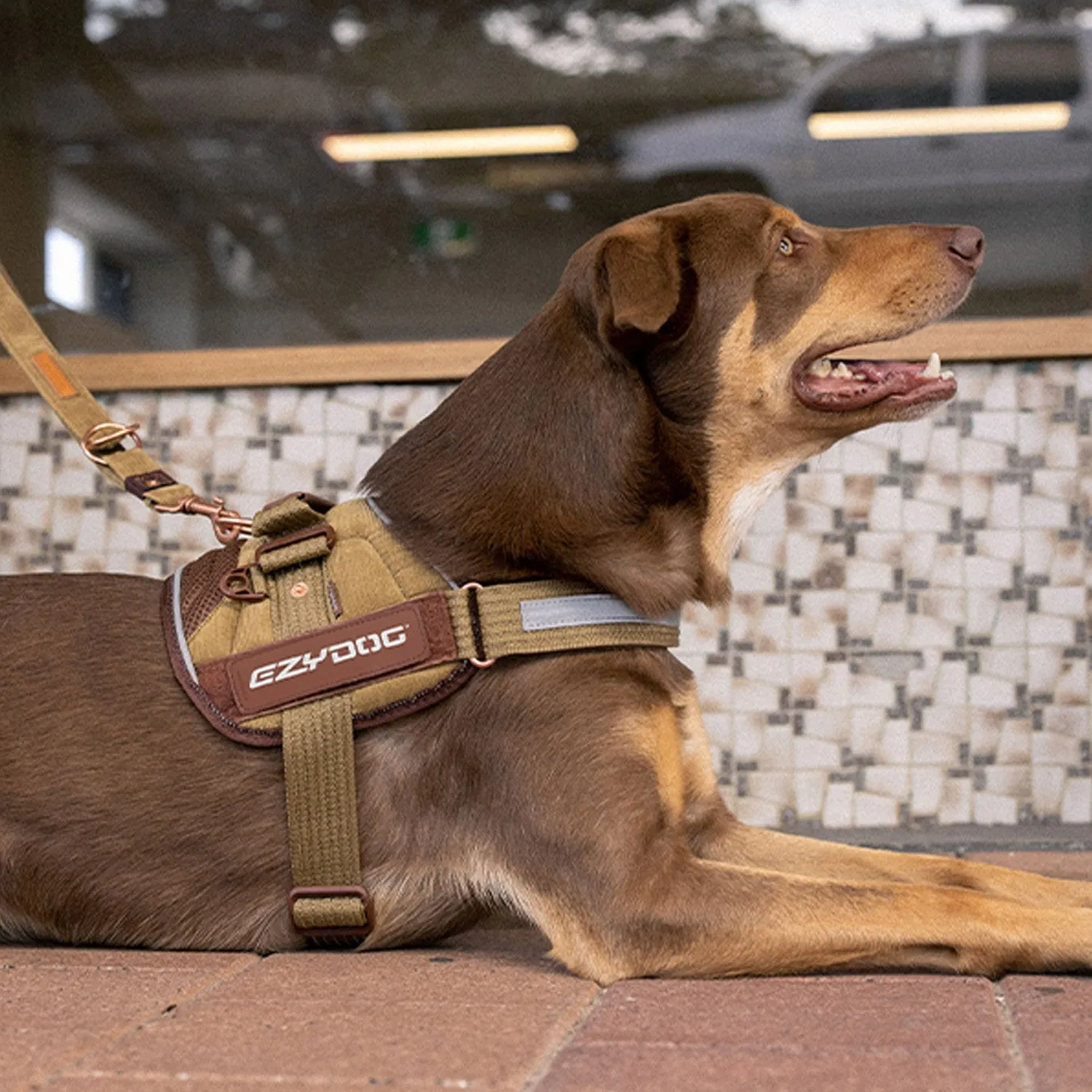 EzyDog X-LINK™ DOG HARNESS