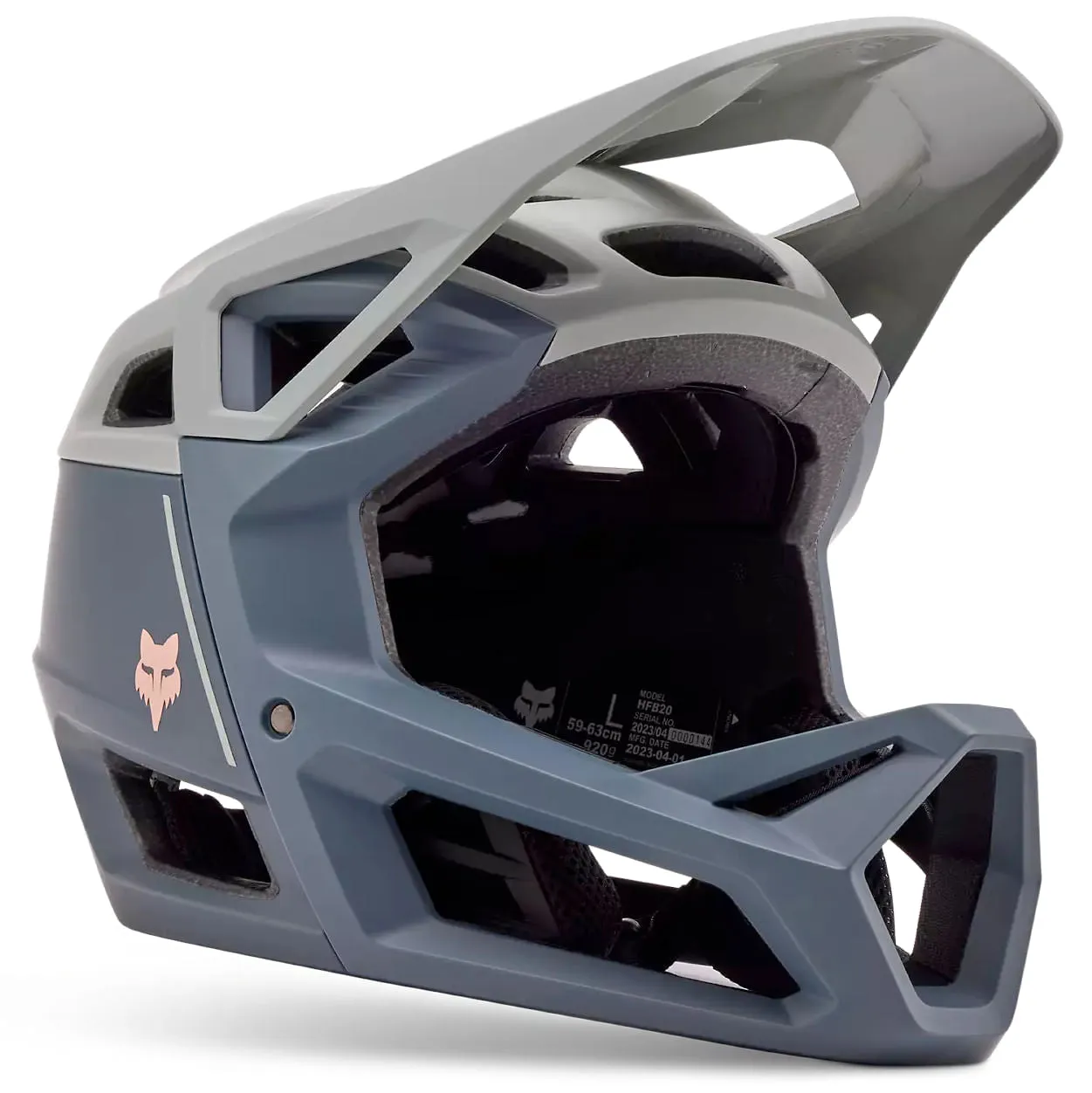 Fox Proframe Helmet