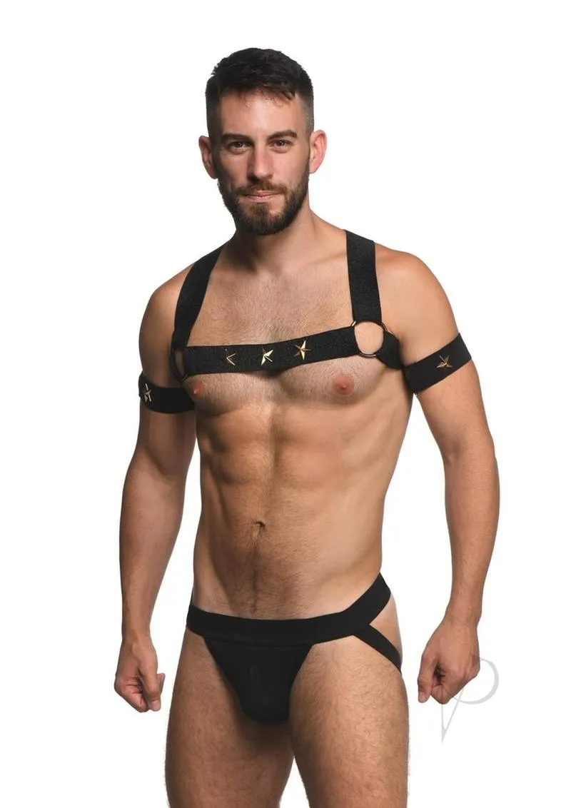 Ms Rave Chest Harness Lxl Blk/gld